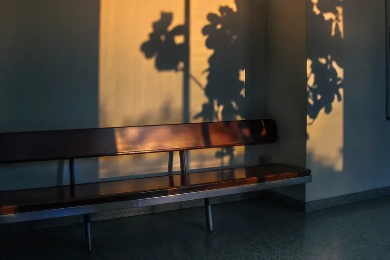 Afternoon shadows of leaves on a wall above a wooden bench